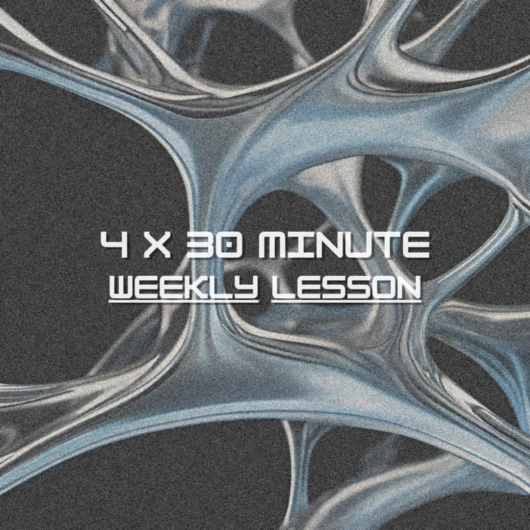 4X 30 Minute Weekly Lessons
